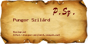Pungor Szilárd névjegykártya