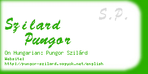 szilard pungor business card